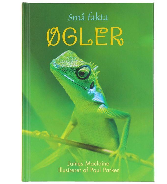 Gads Forlag - Små Fakta om Øgler - Dansk Bog