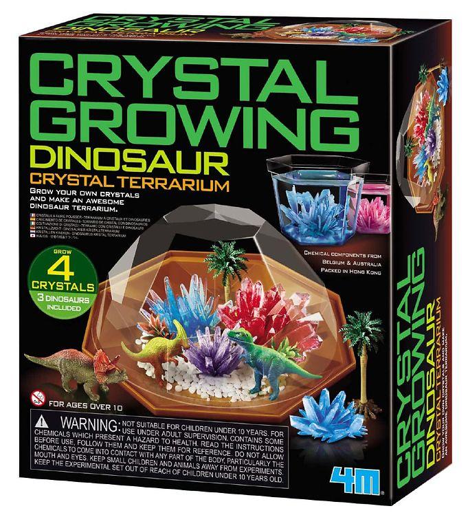 M - Dinosaur Krystal Terrarium