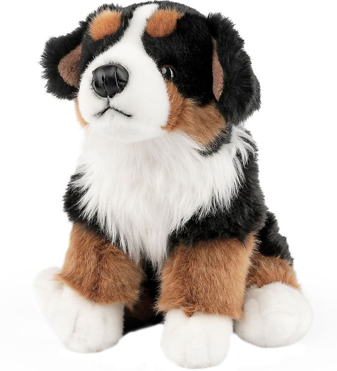 Living Nature Bamse -  X  Cm - Berner Sennenhund - Brun Sort